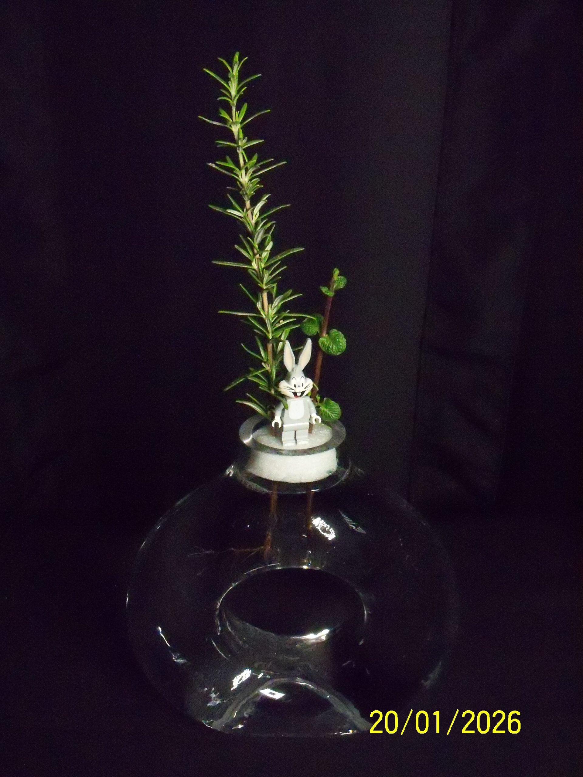 Tuesday, 20 January 2026