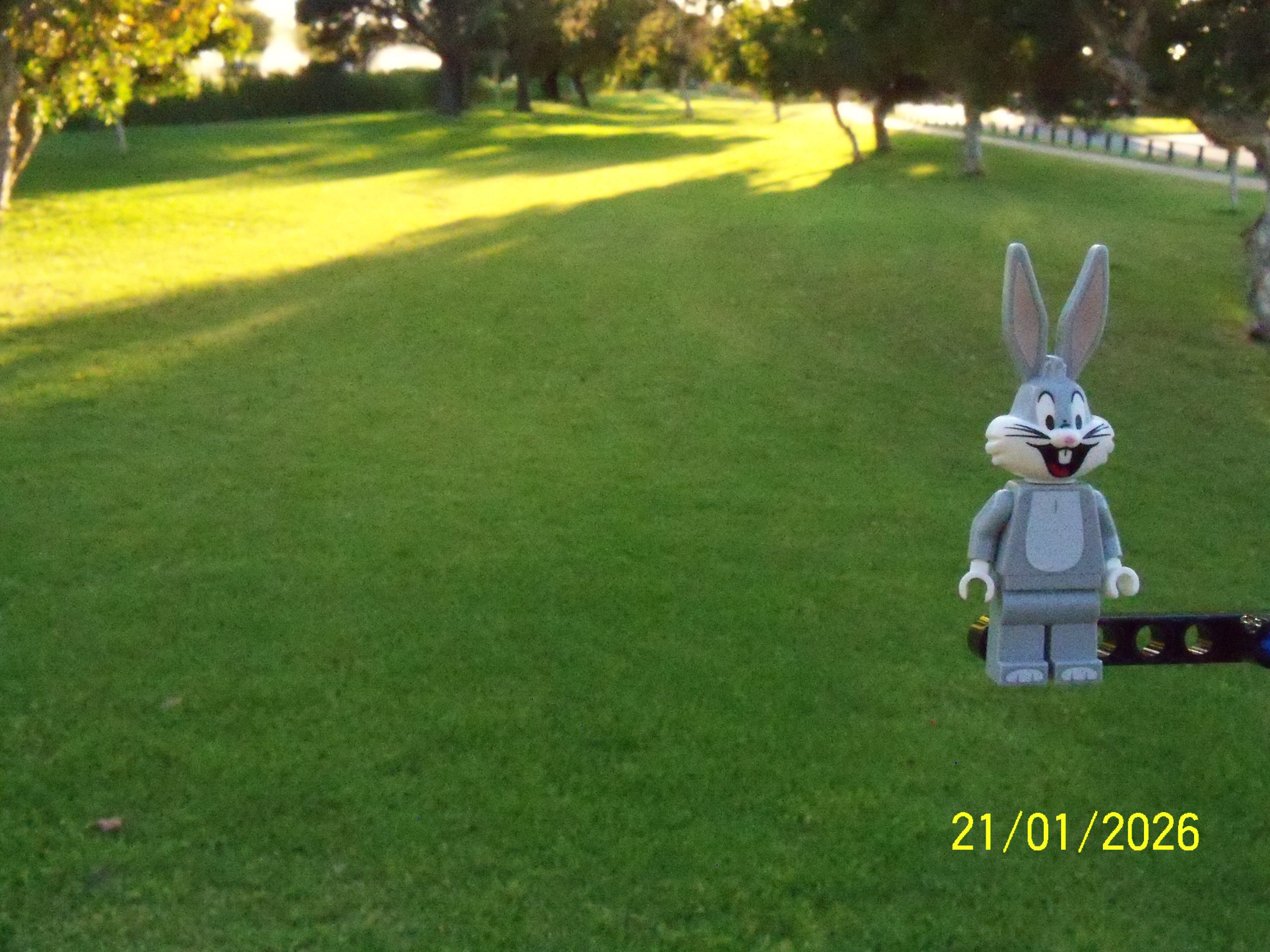 Wednesday, 21 January 2026