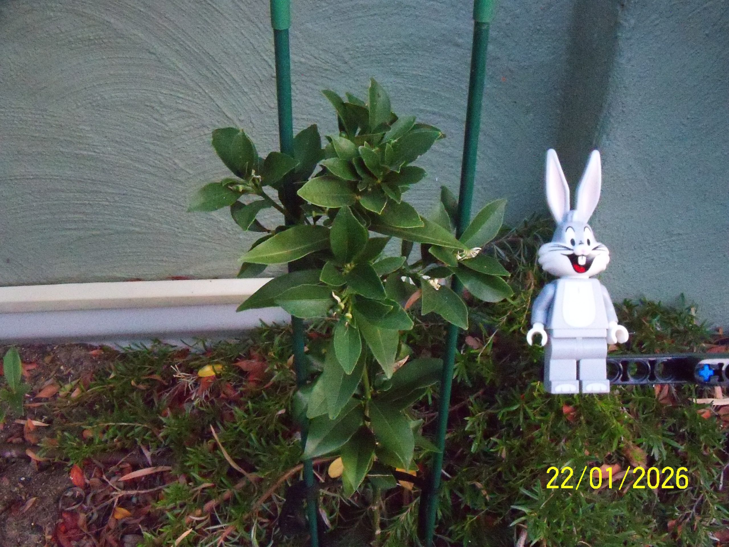 Thursday, 22 January 2026