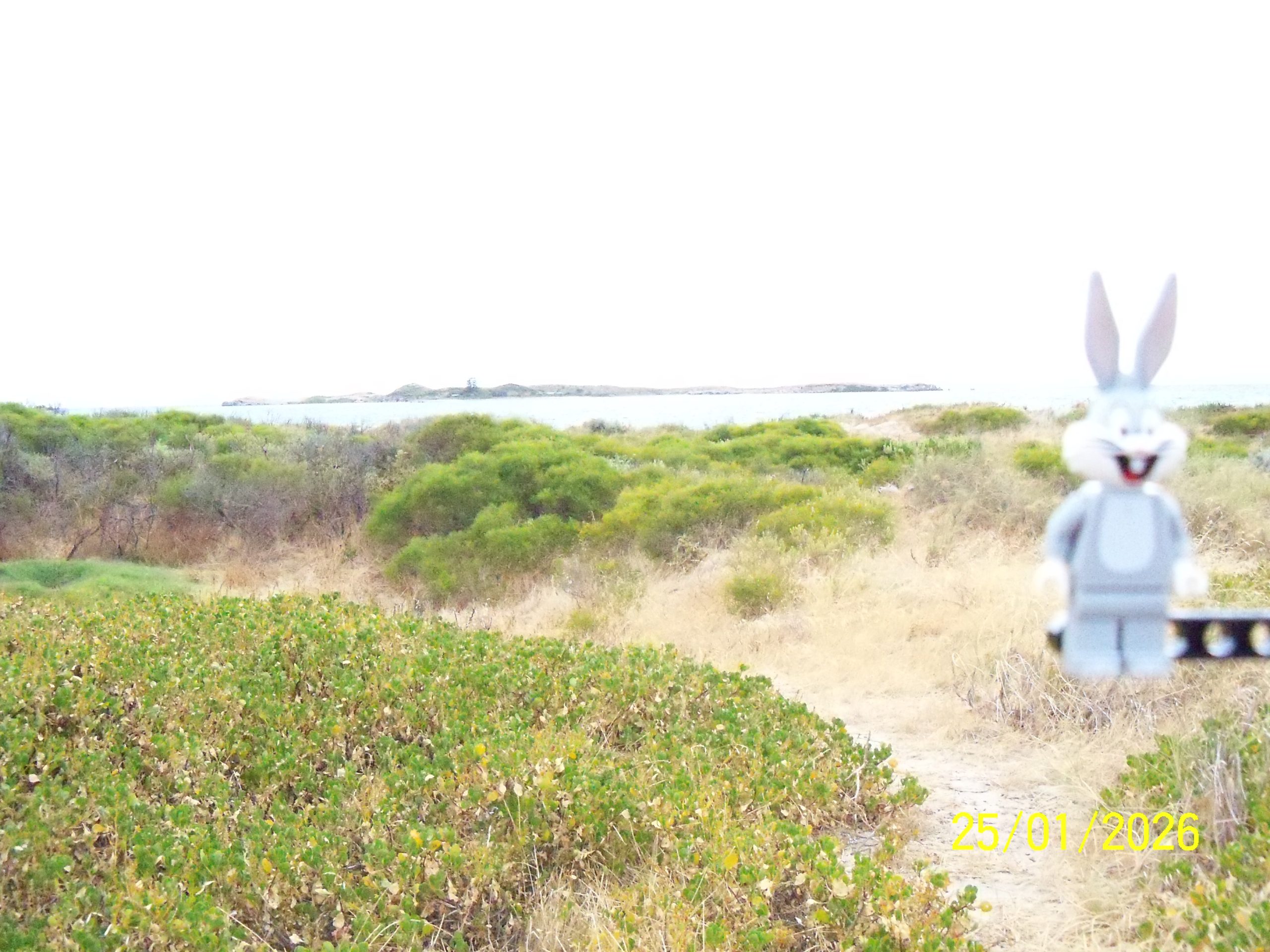 Sunday, 25 January 2026