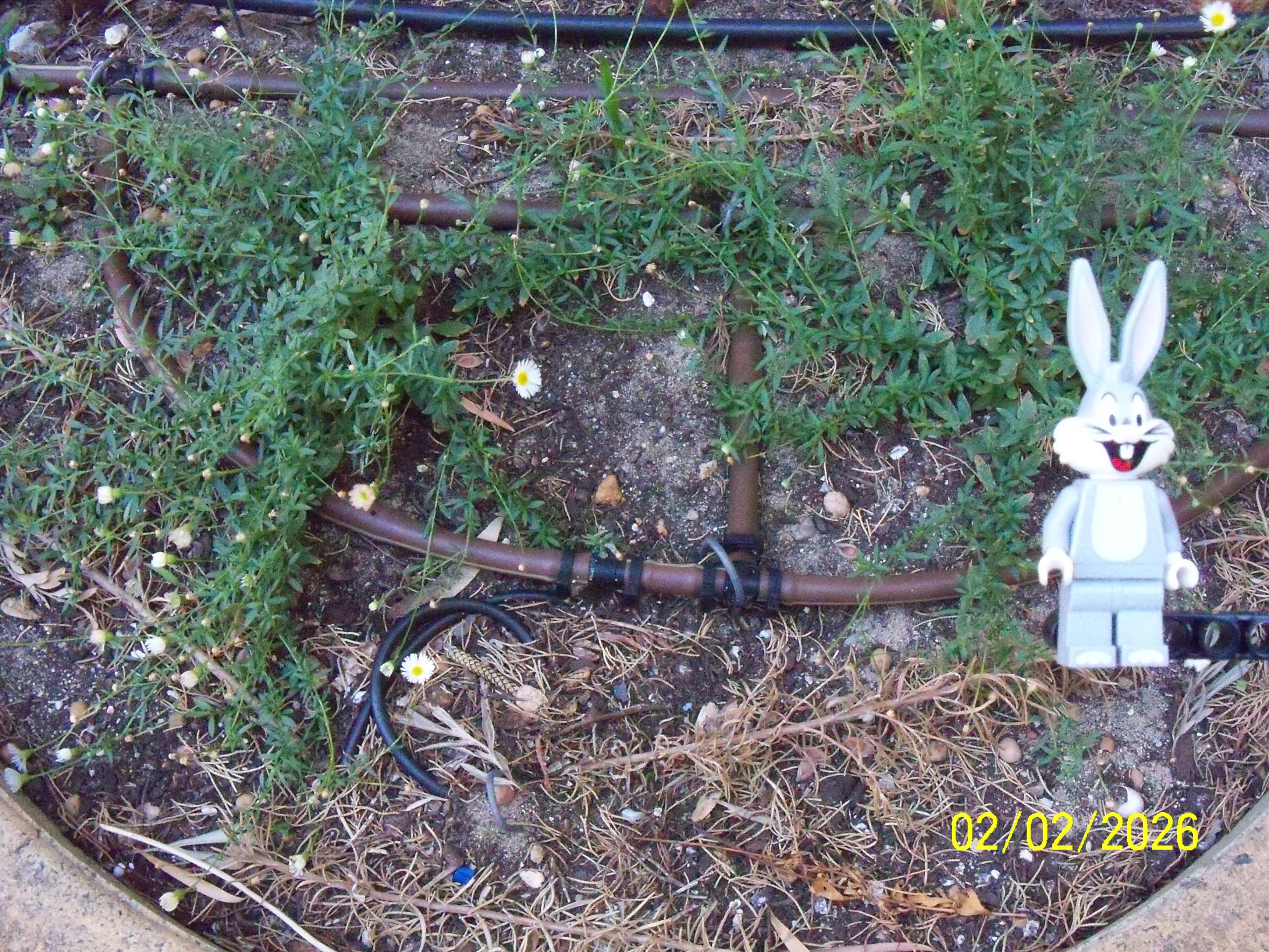 Monday, 02 February 2026