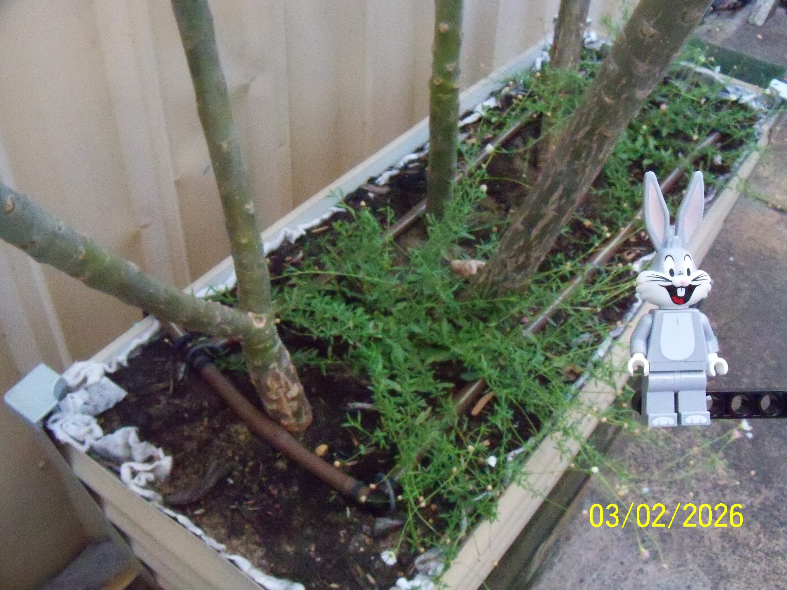 Tuesday, 03 February 2026