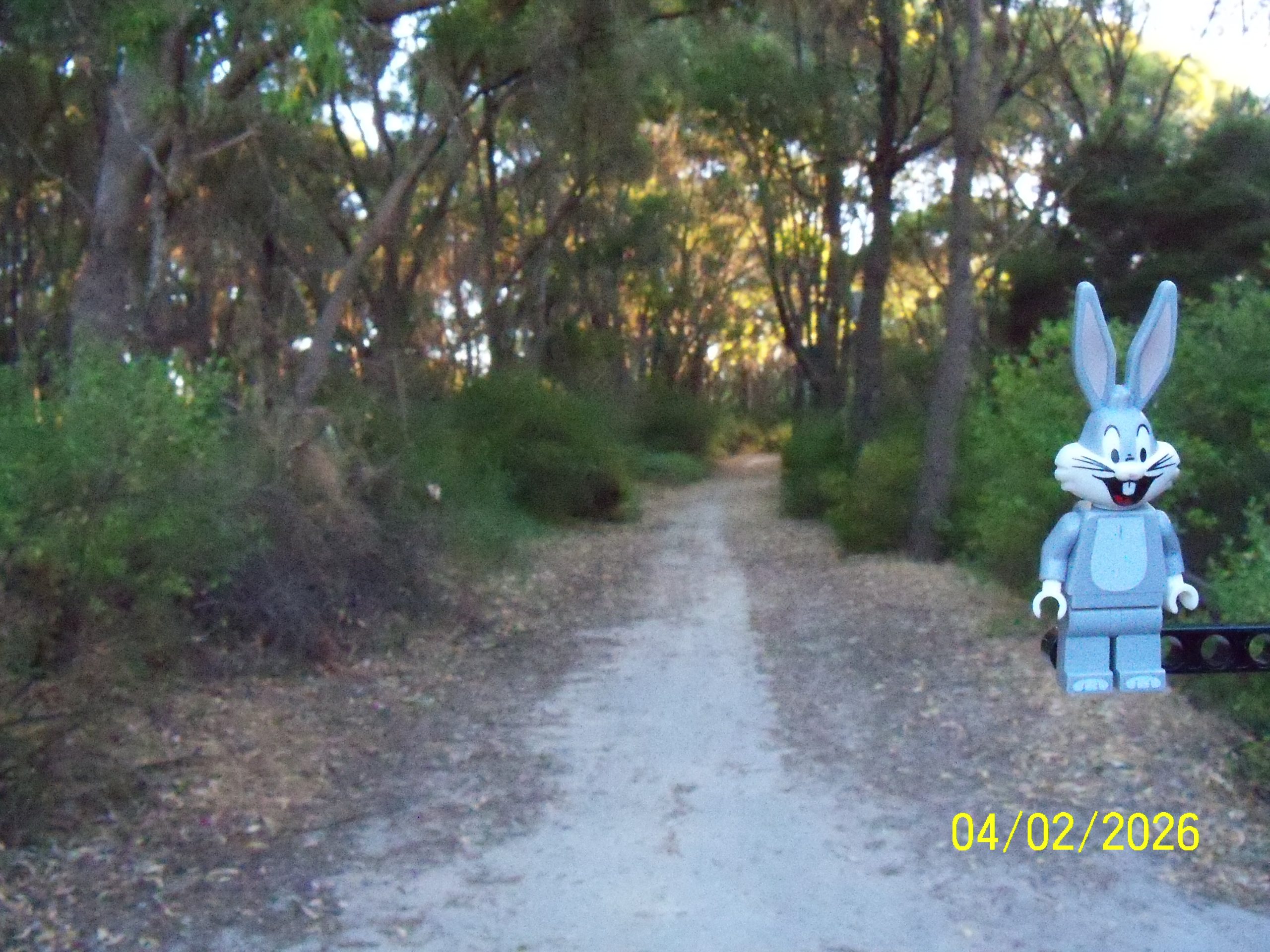 Wednesday, 04 February 2026