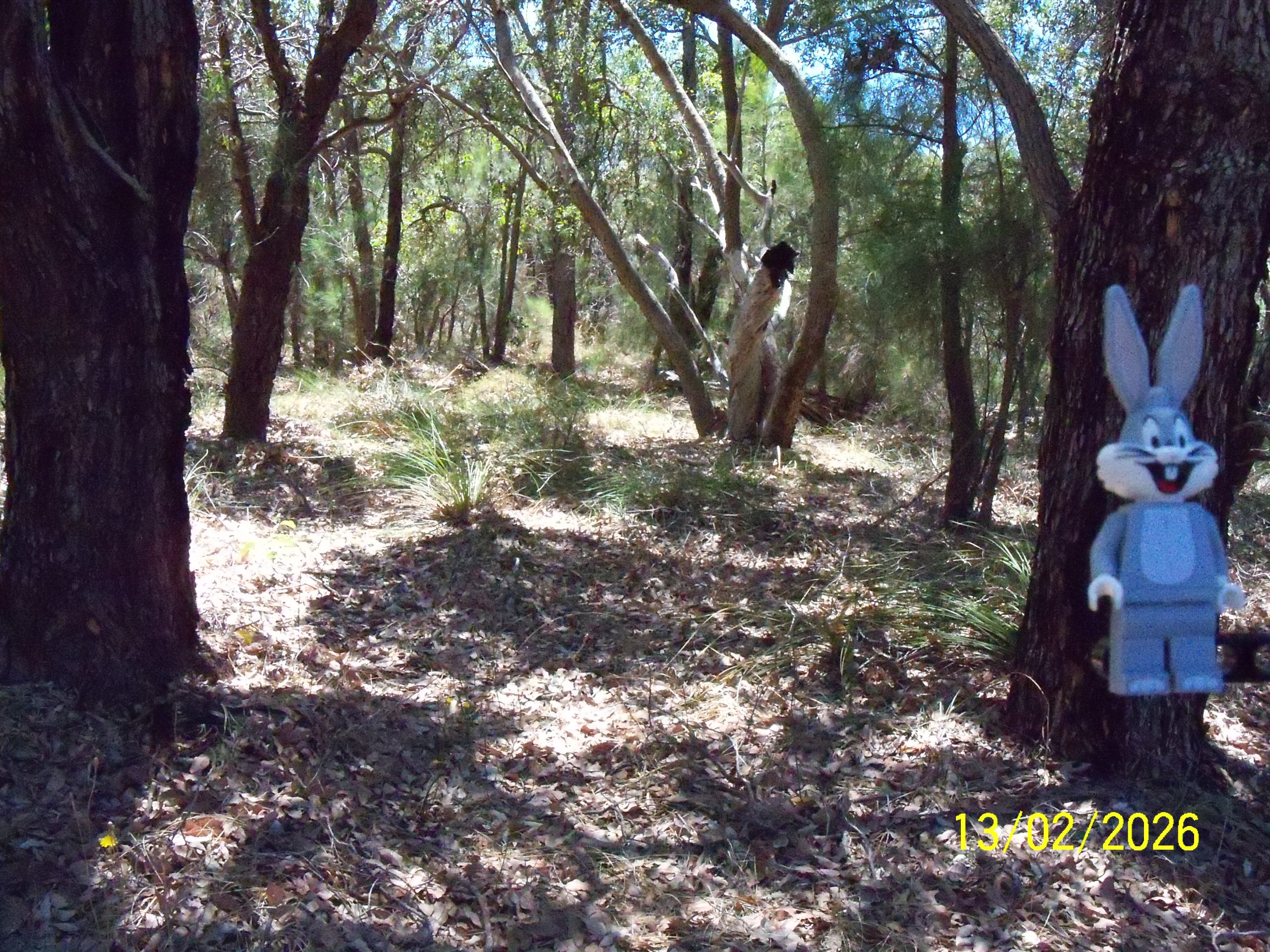 Friday, 13 February 2026