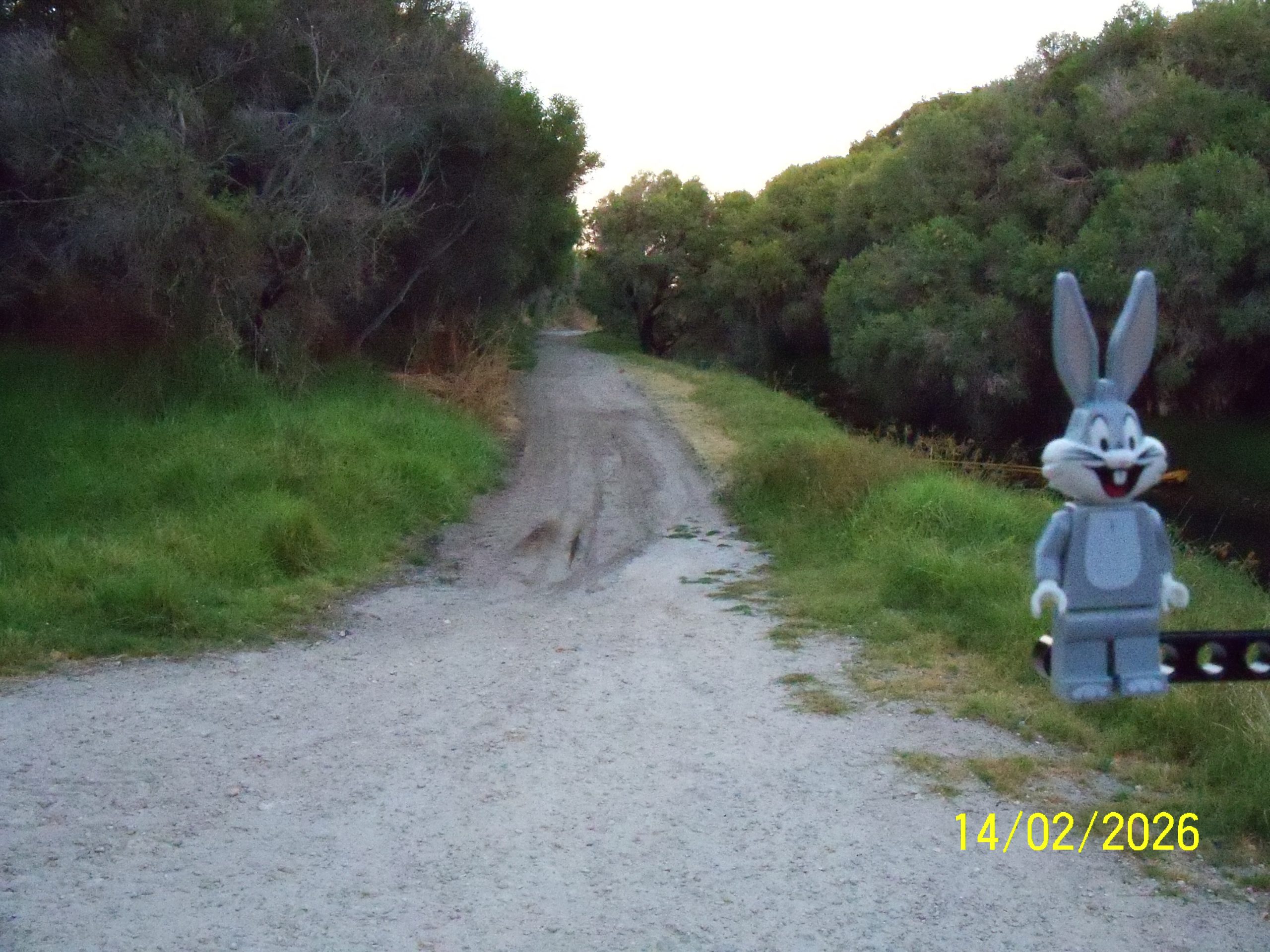 Saturday, 14 February 2026