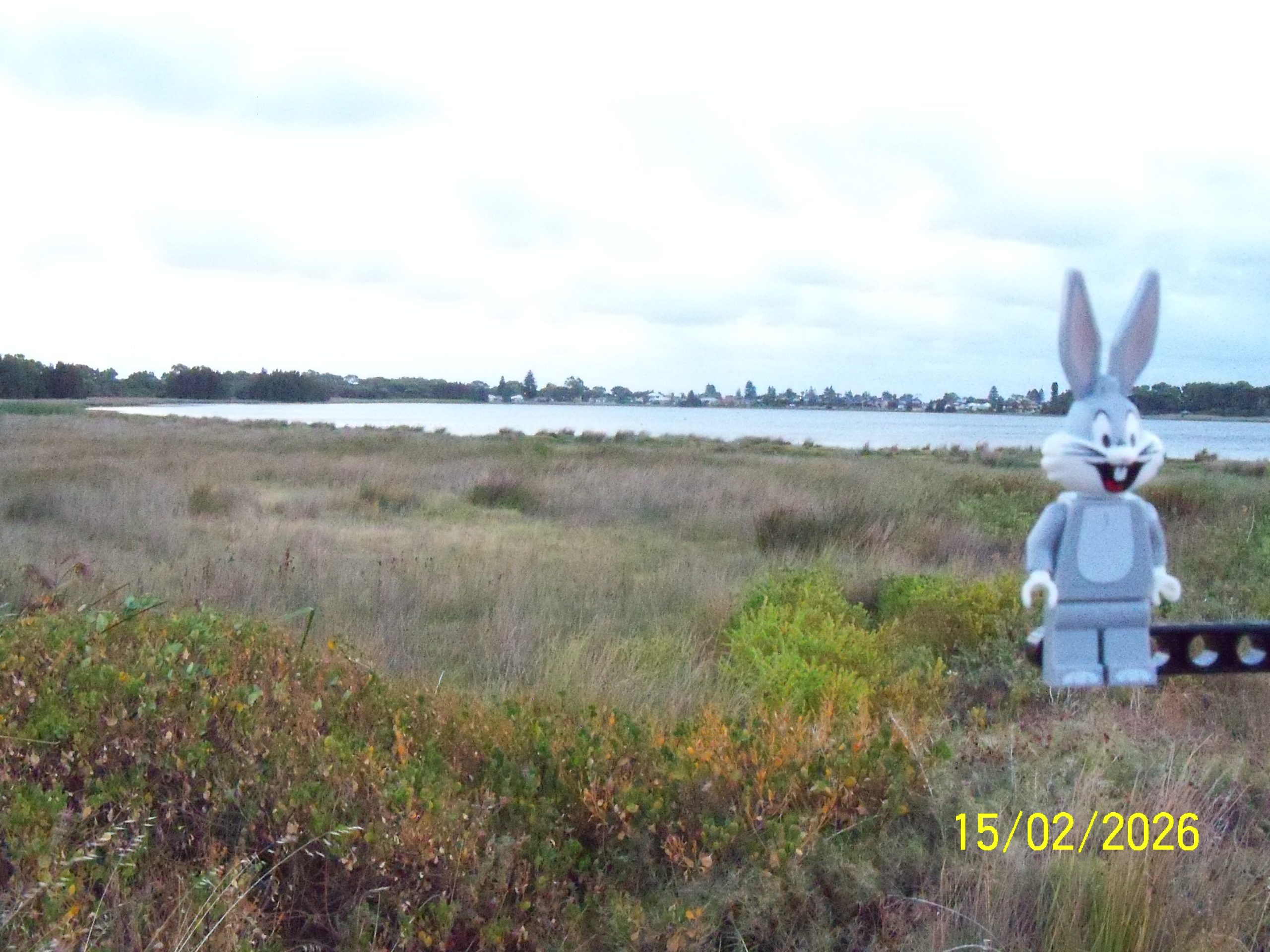 Sunday, 15 February 2026