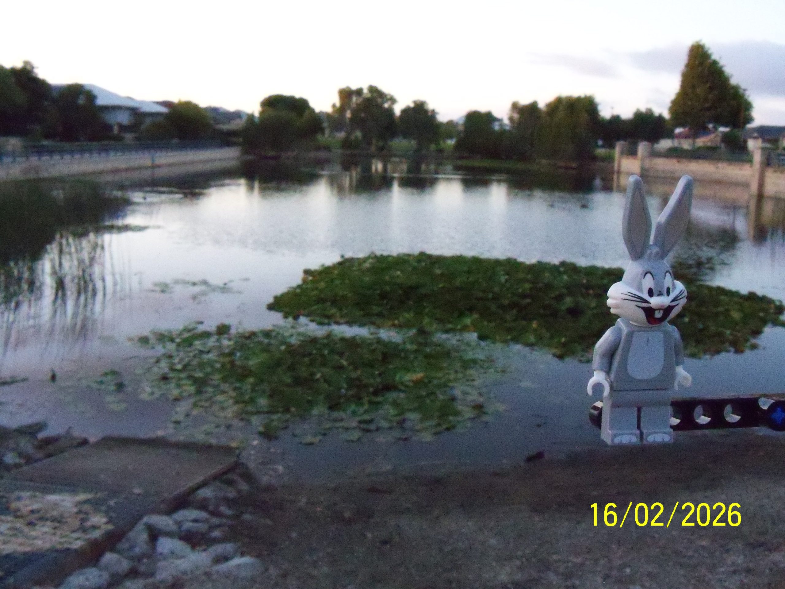 Monday, 16 February 2026