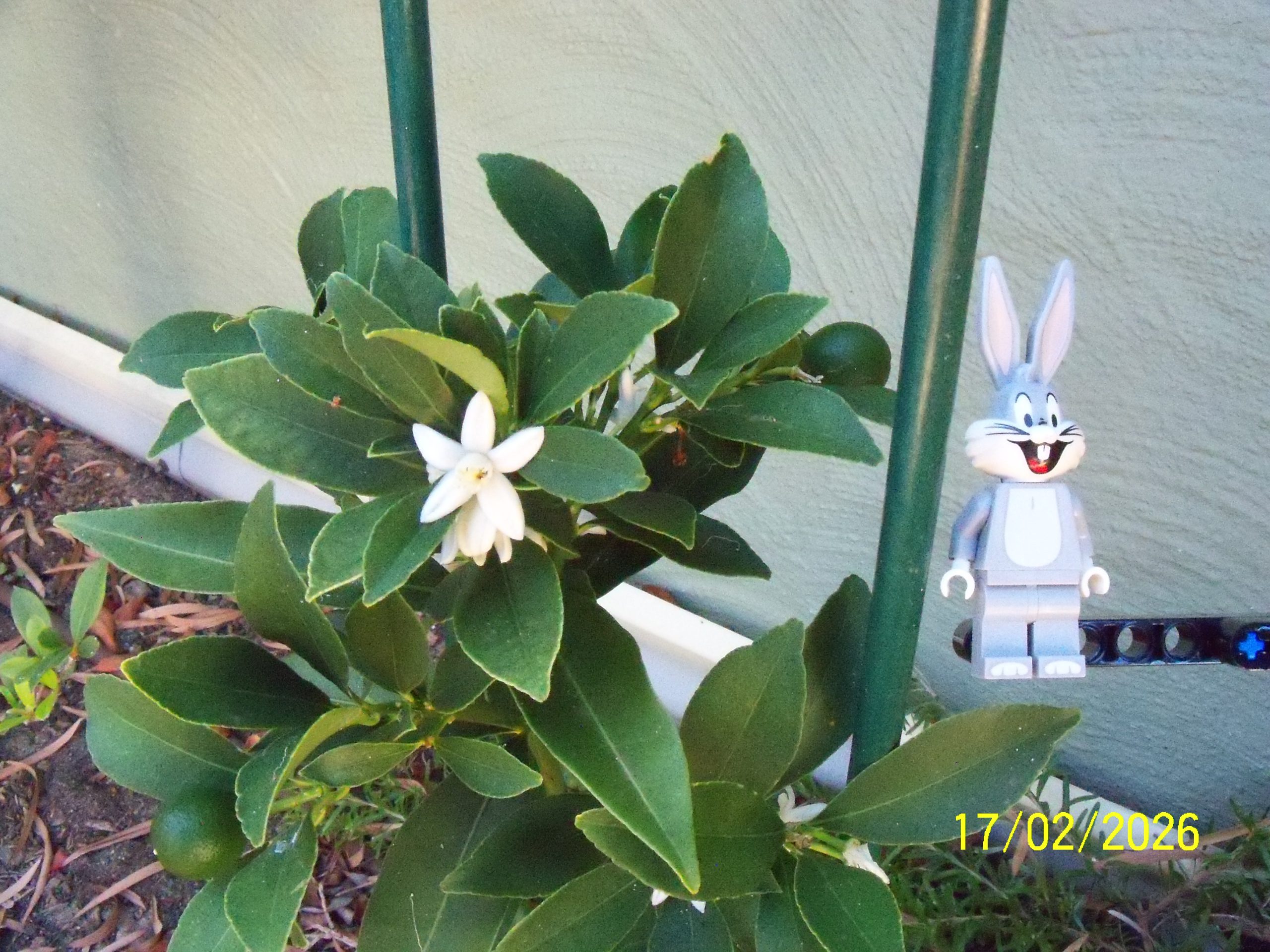 Tuesday, 17 February 2026