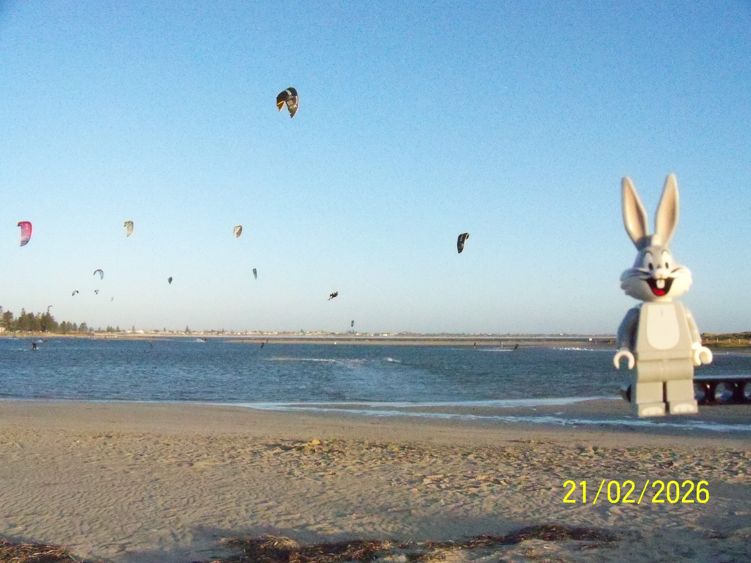 Saturday, 21 February 2026