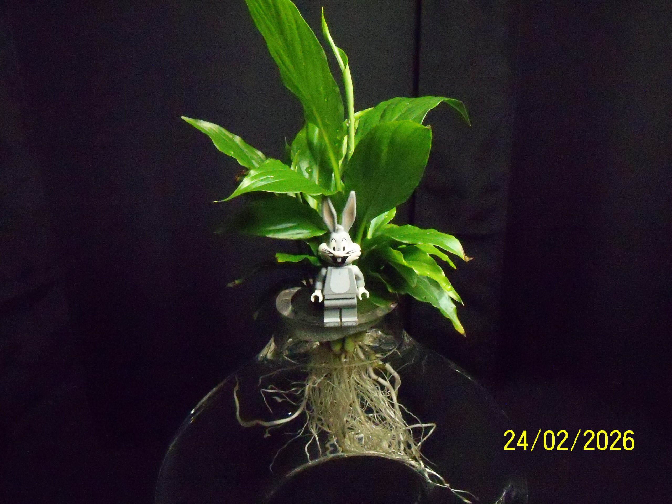 Tuesday, 24 February 2026