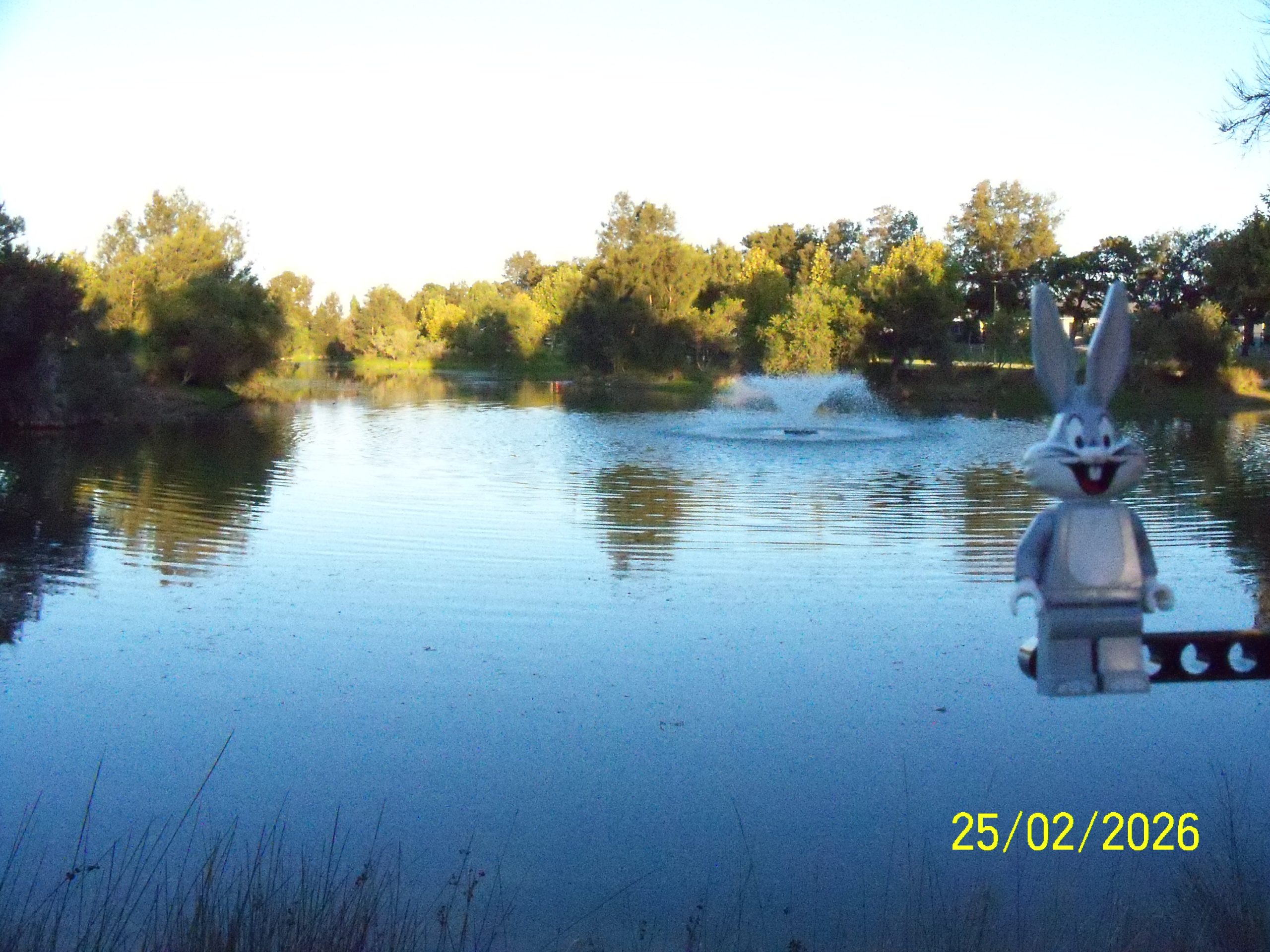 Wednesday, 25 February 2026