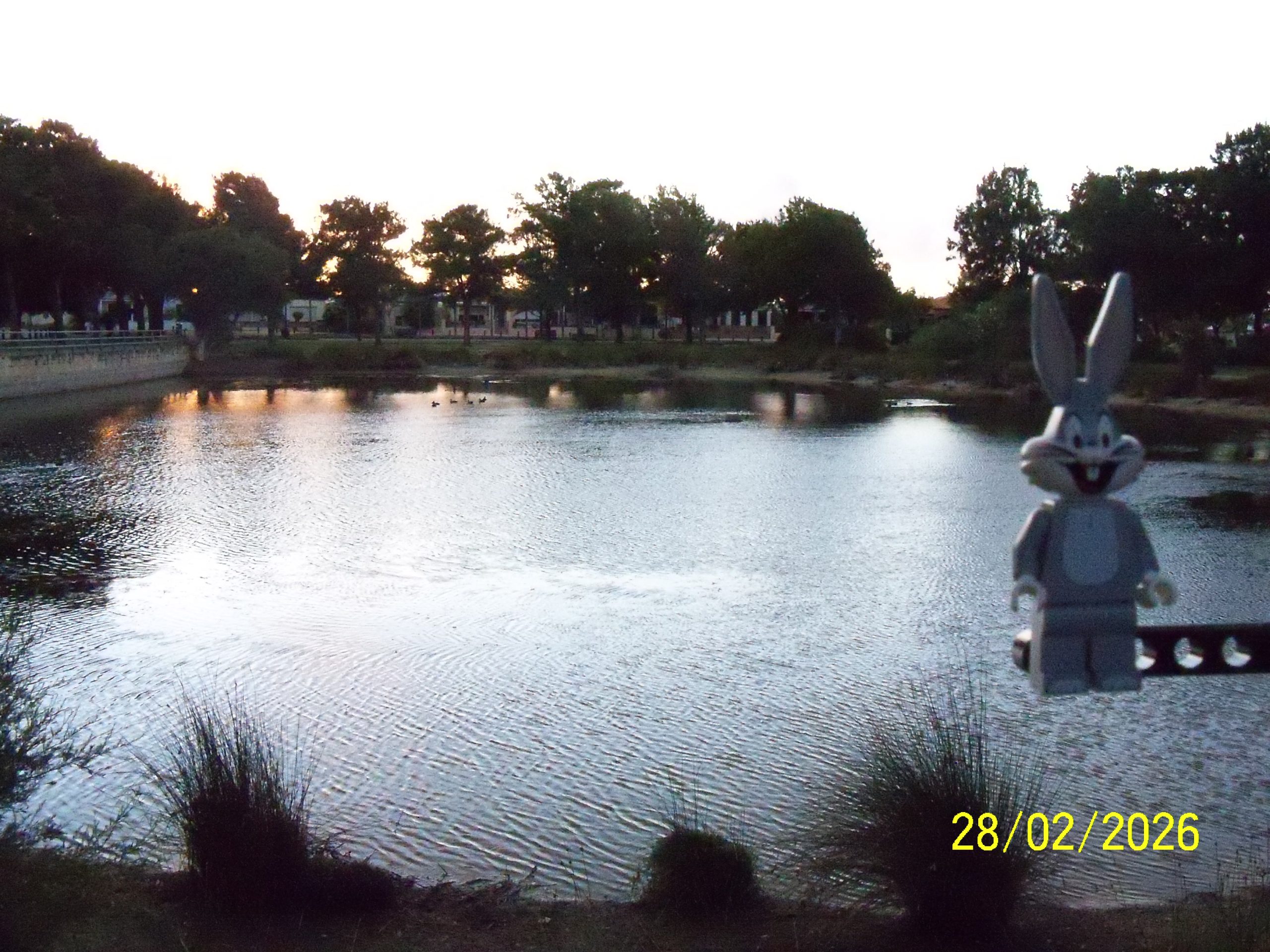 Saturday, 28 February 2026