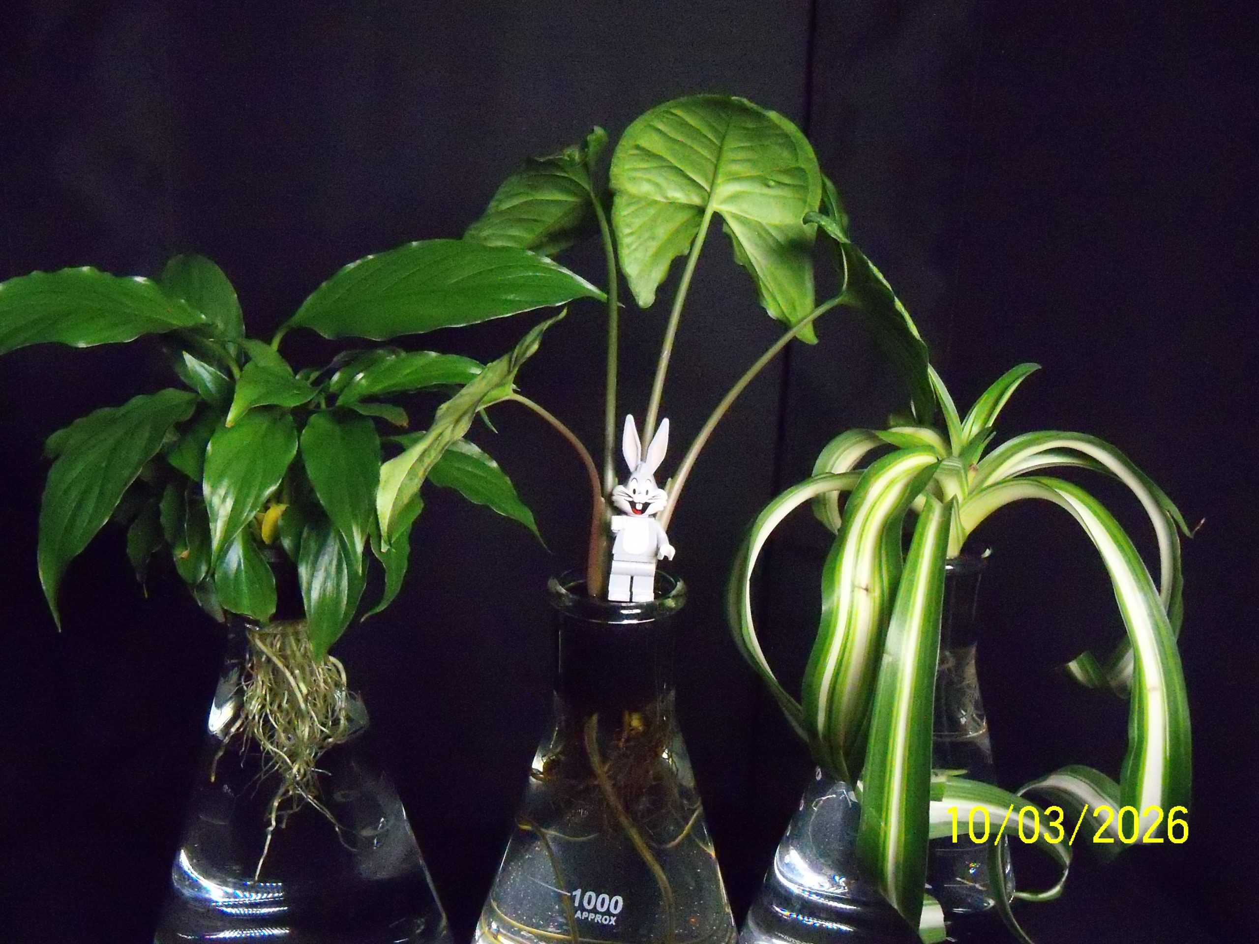 Tuesday, 10 March 2026