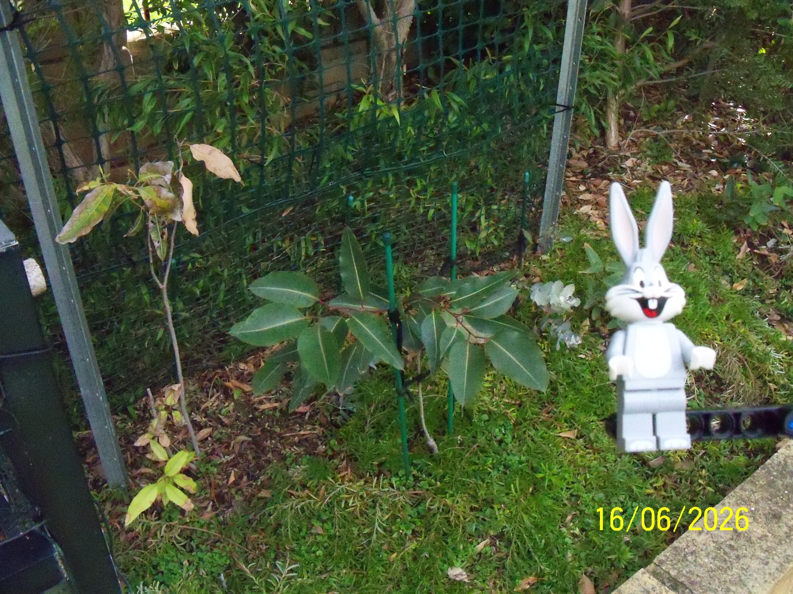 Tuesday, 16 June 2026